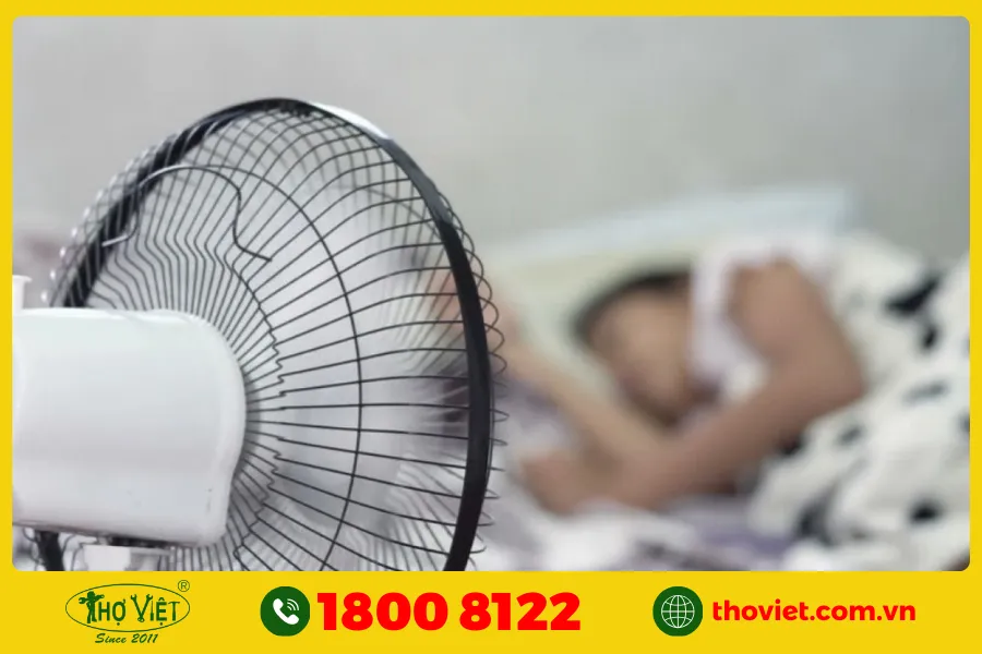 Quạt có nhiều mẫu mã hơn sau năm 2000