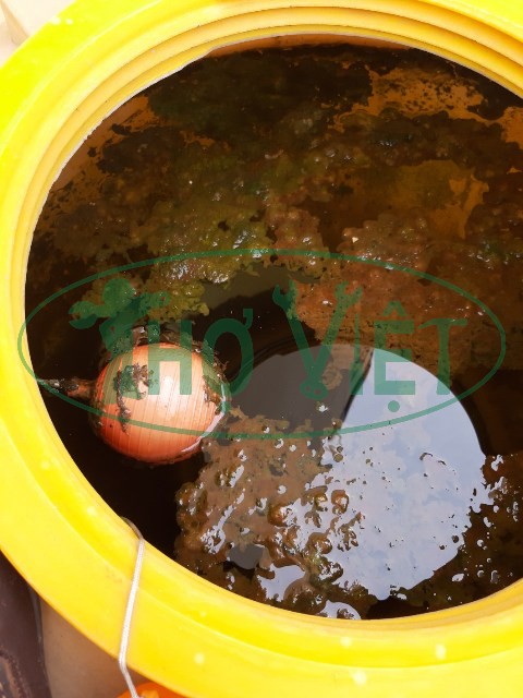 vệ sinh bồn nước nhựa quận Tân Bình