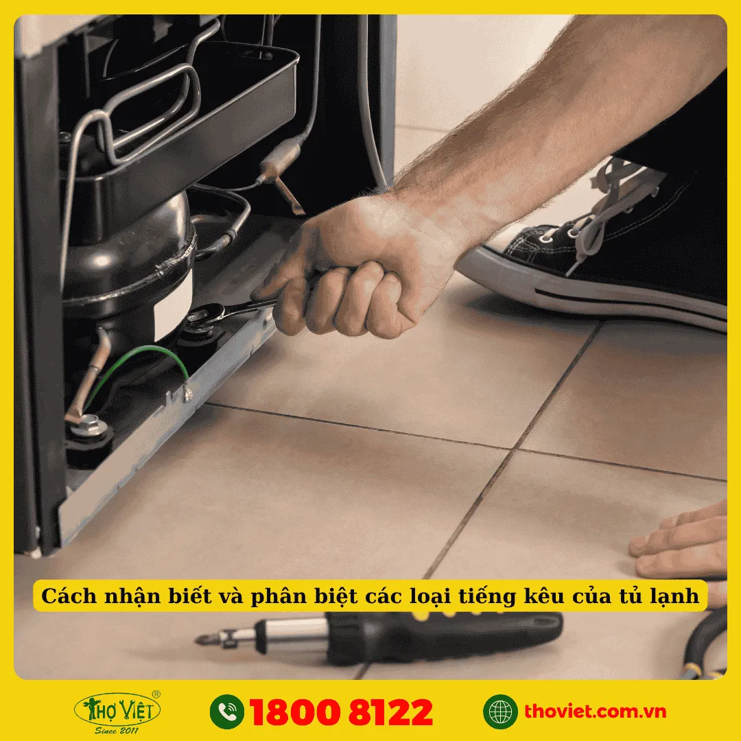 Cách nhận biết và phân biệt các loại tiếng kêu của tủ lạnh