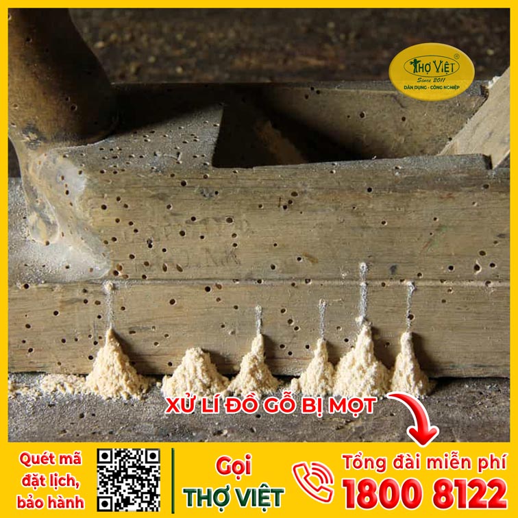 DẤU HIỆU ĐỒ GỖ BỊ MỌT