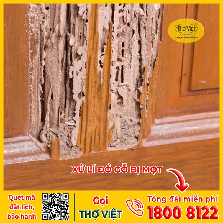 ĐỒ GỖ BỊ MỐI MỌT