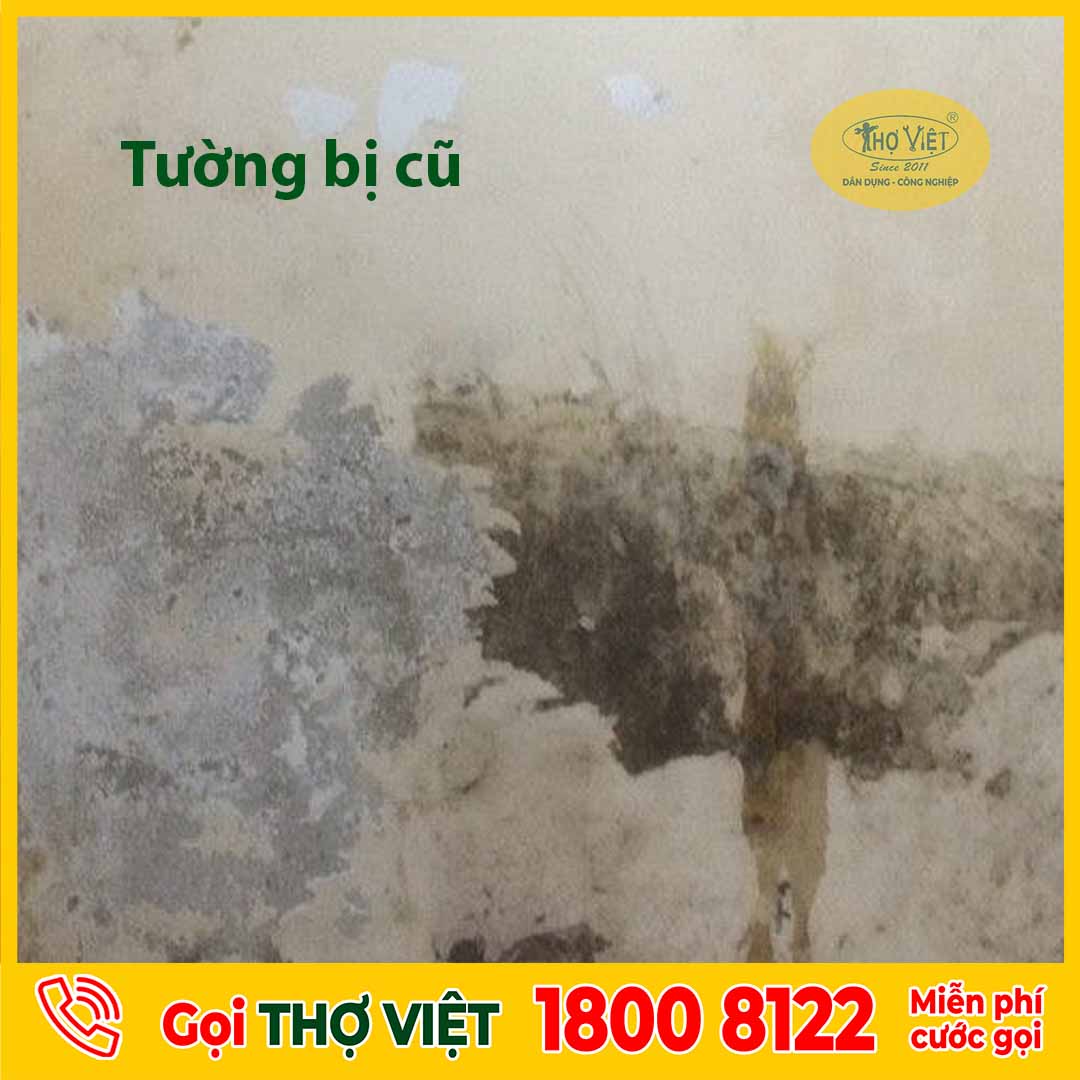 Tường cần sơn lại