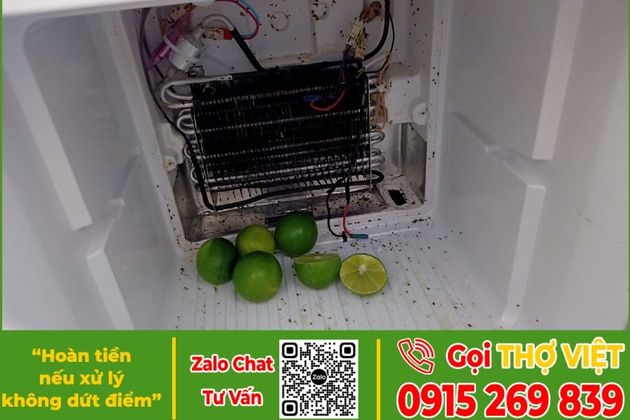 quy trình vệ sinh tủ lạnh tại bình dương