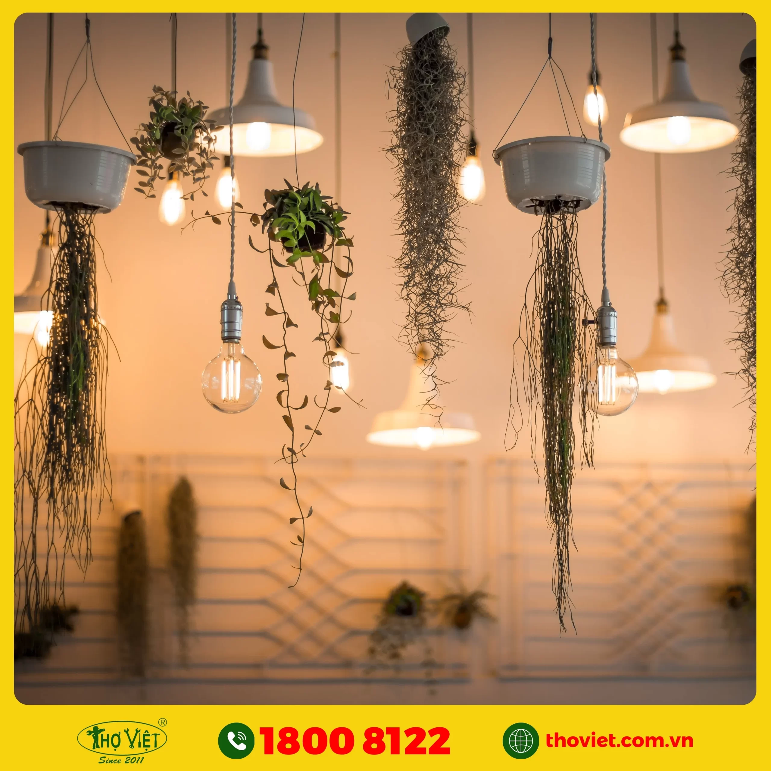 dịch vụ lắp đèn trang trí