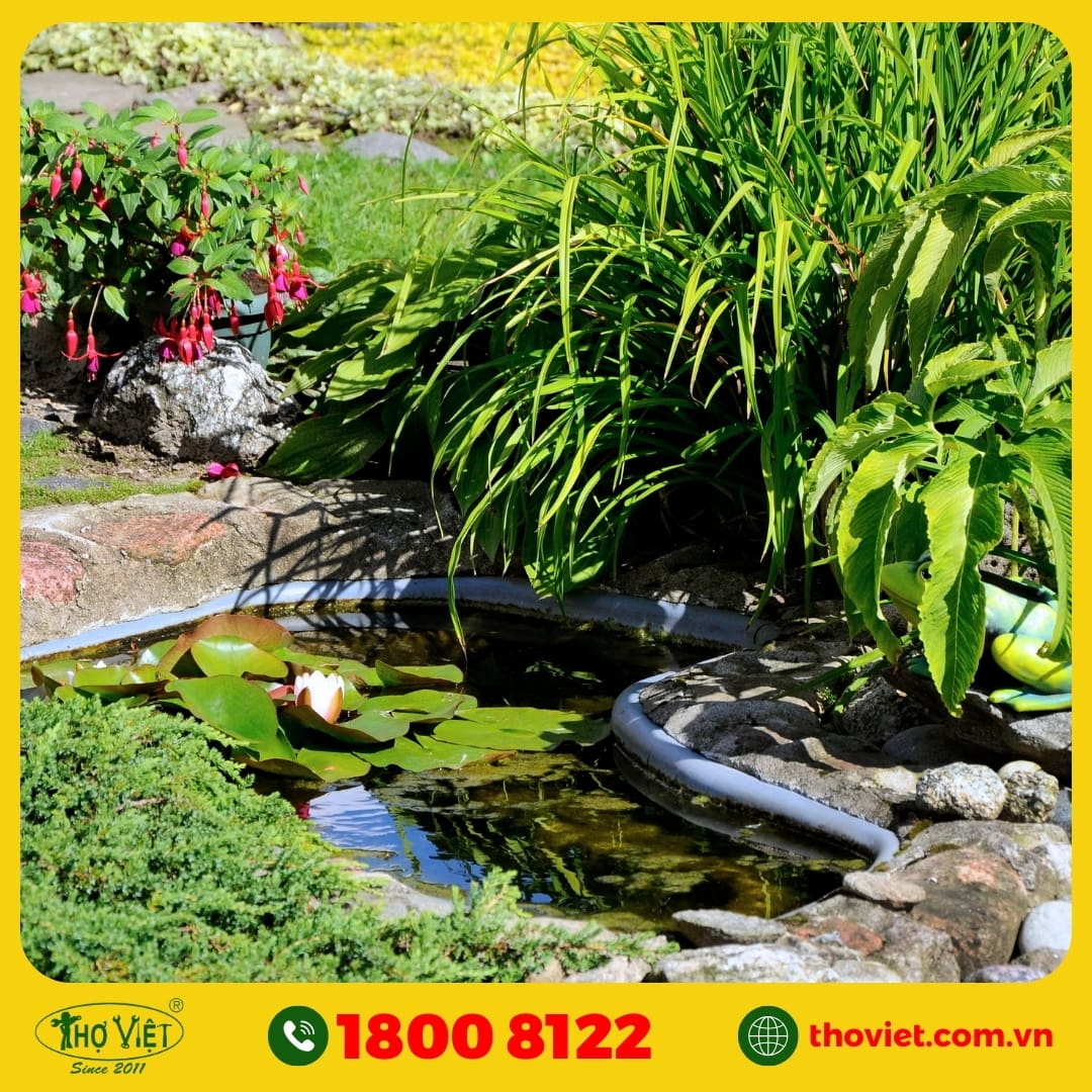 Tiểu cảnh nước