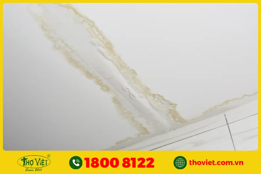 trần nhà bị ẩm móc, có thể do ống nước bị hư hại