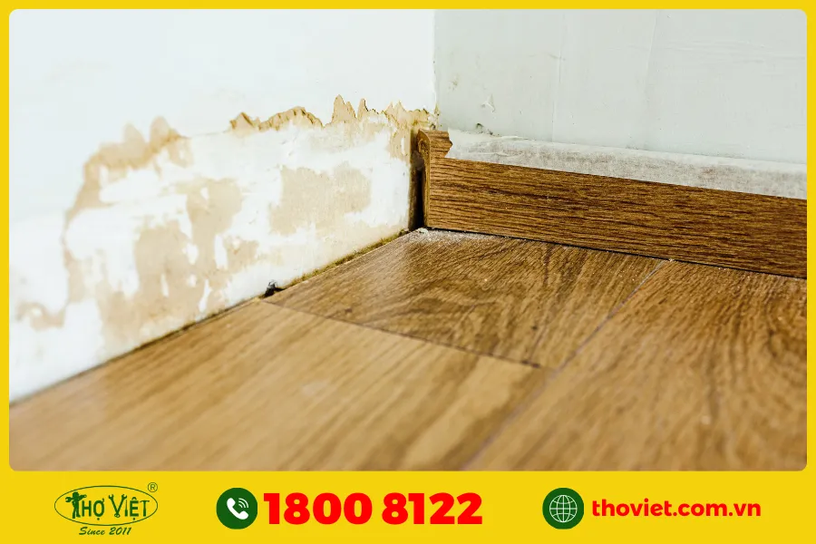 Quan sát bằng mắt thường