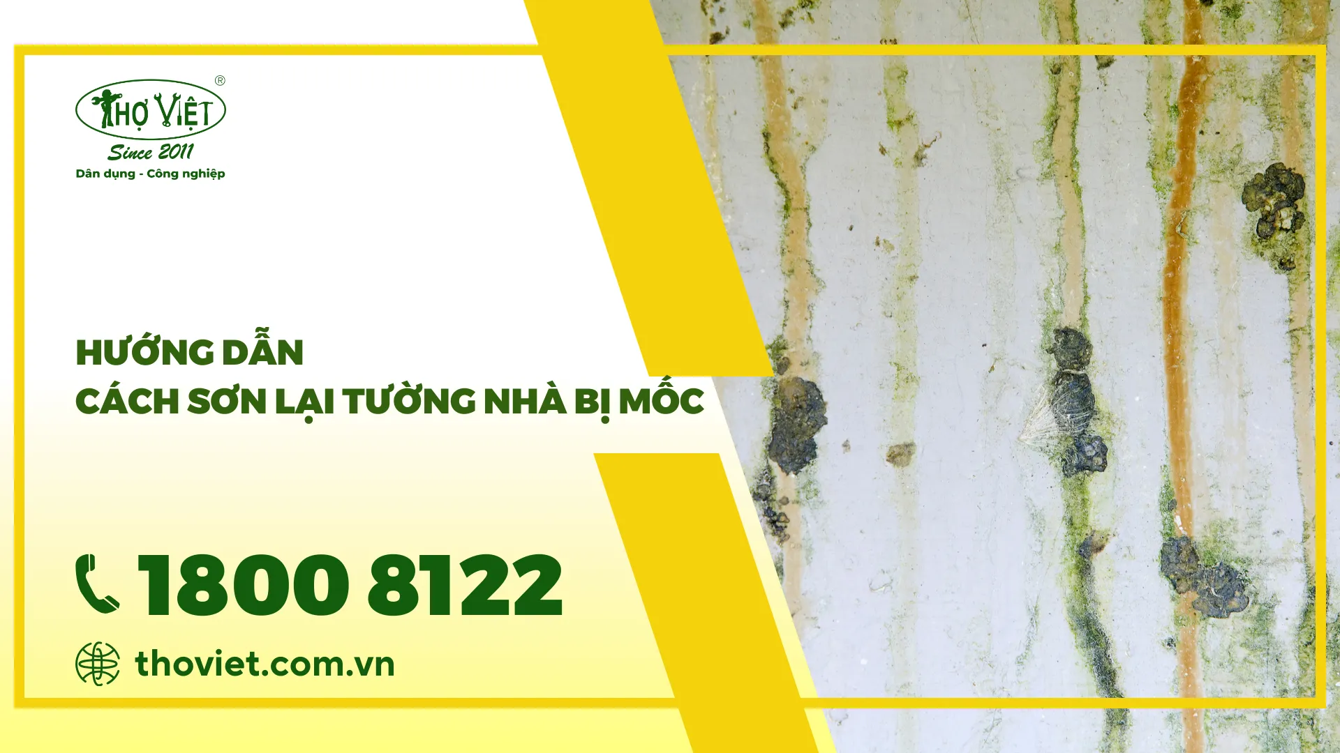 Tại sao, tường nhà bị mốc? Cách sơn lại tường nhà bị mốc