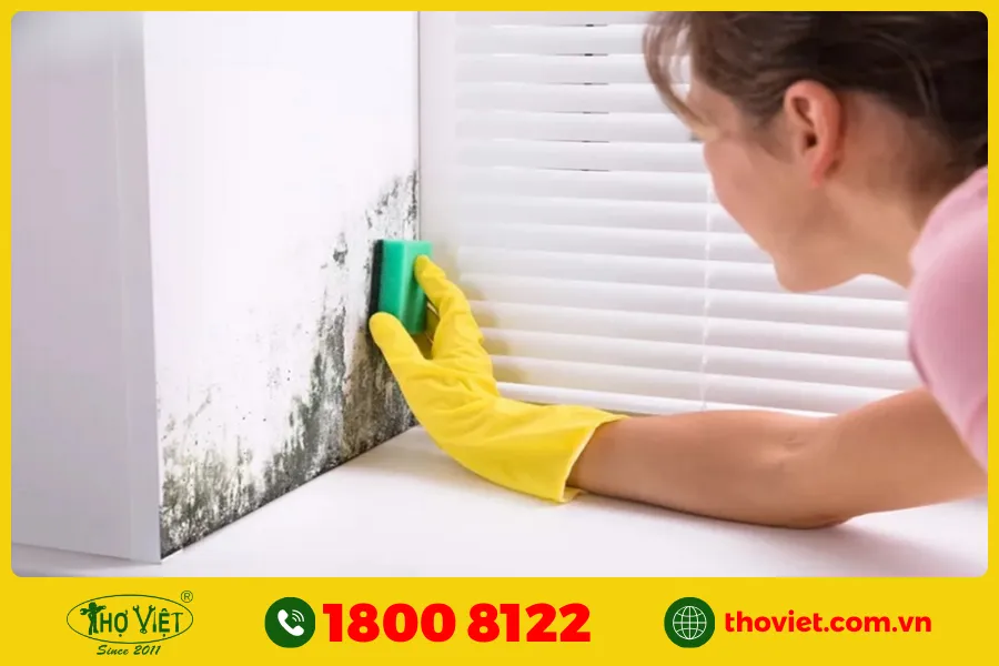 Cách vệ sinh tường cũ trước khi sơn