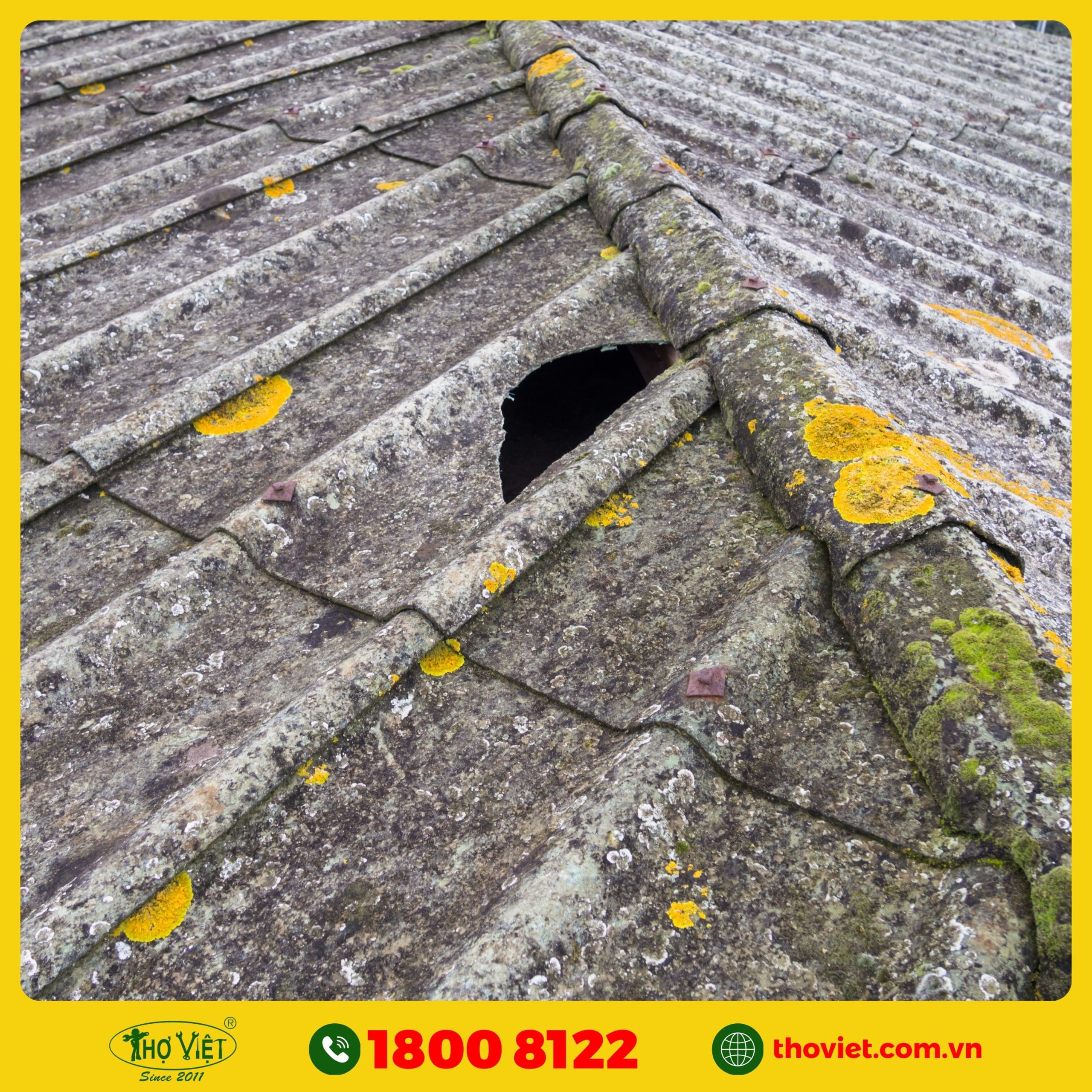 dịch vụ thay mái tôn