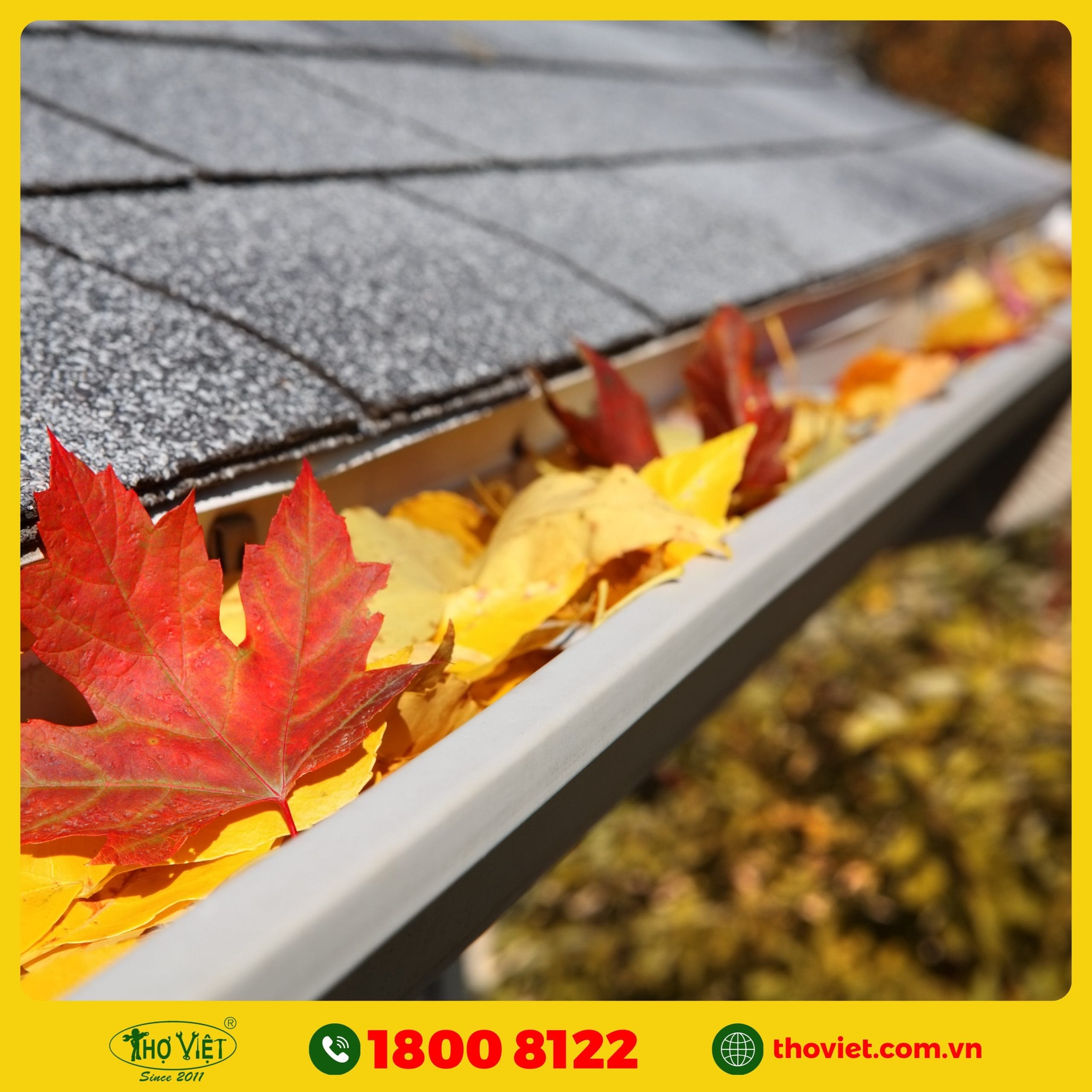 dịch vụ thi công máng xối