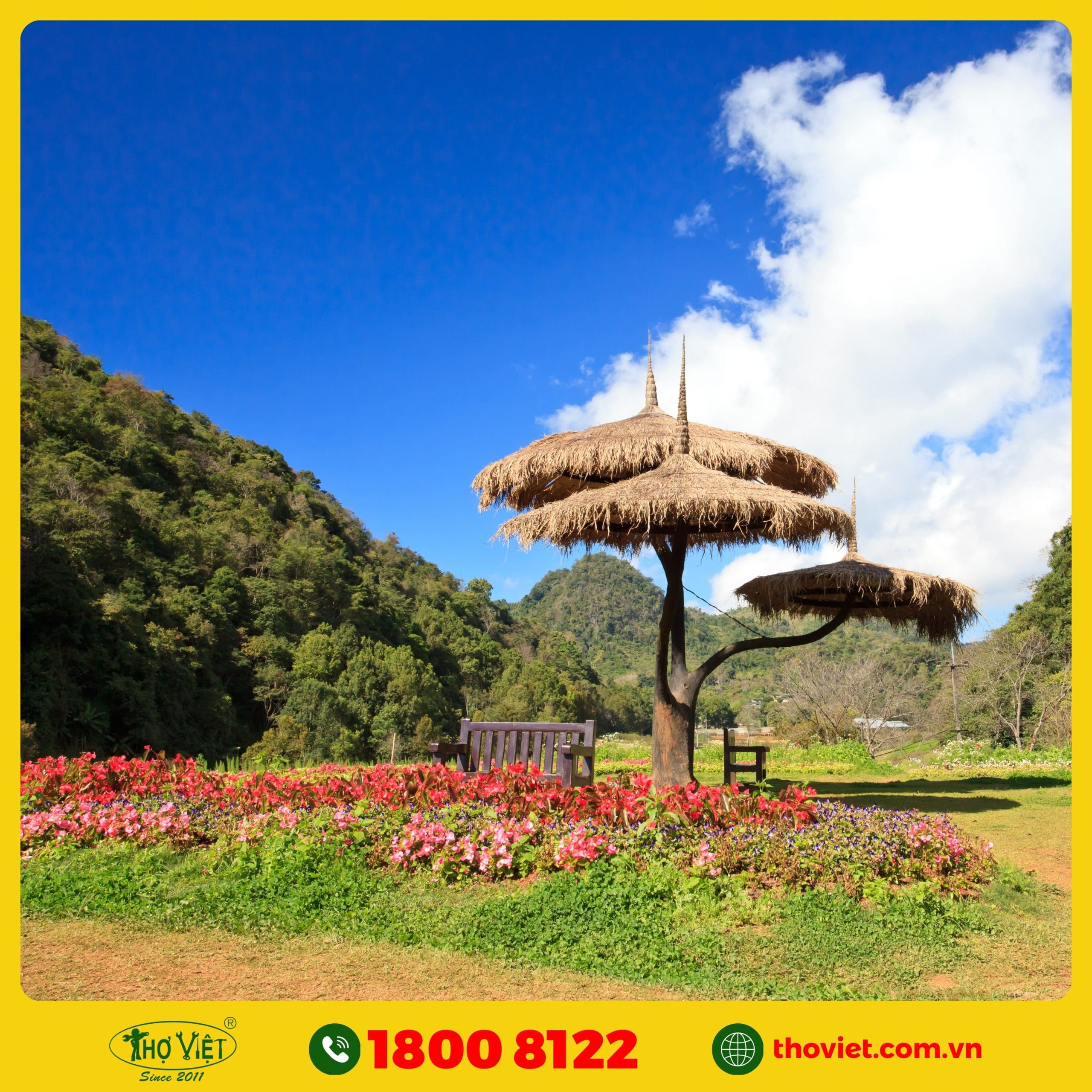 dịch vụ thi công tiểu cảnh sân vườn