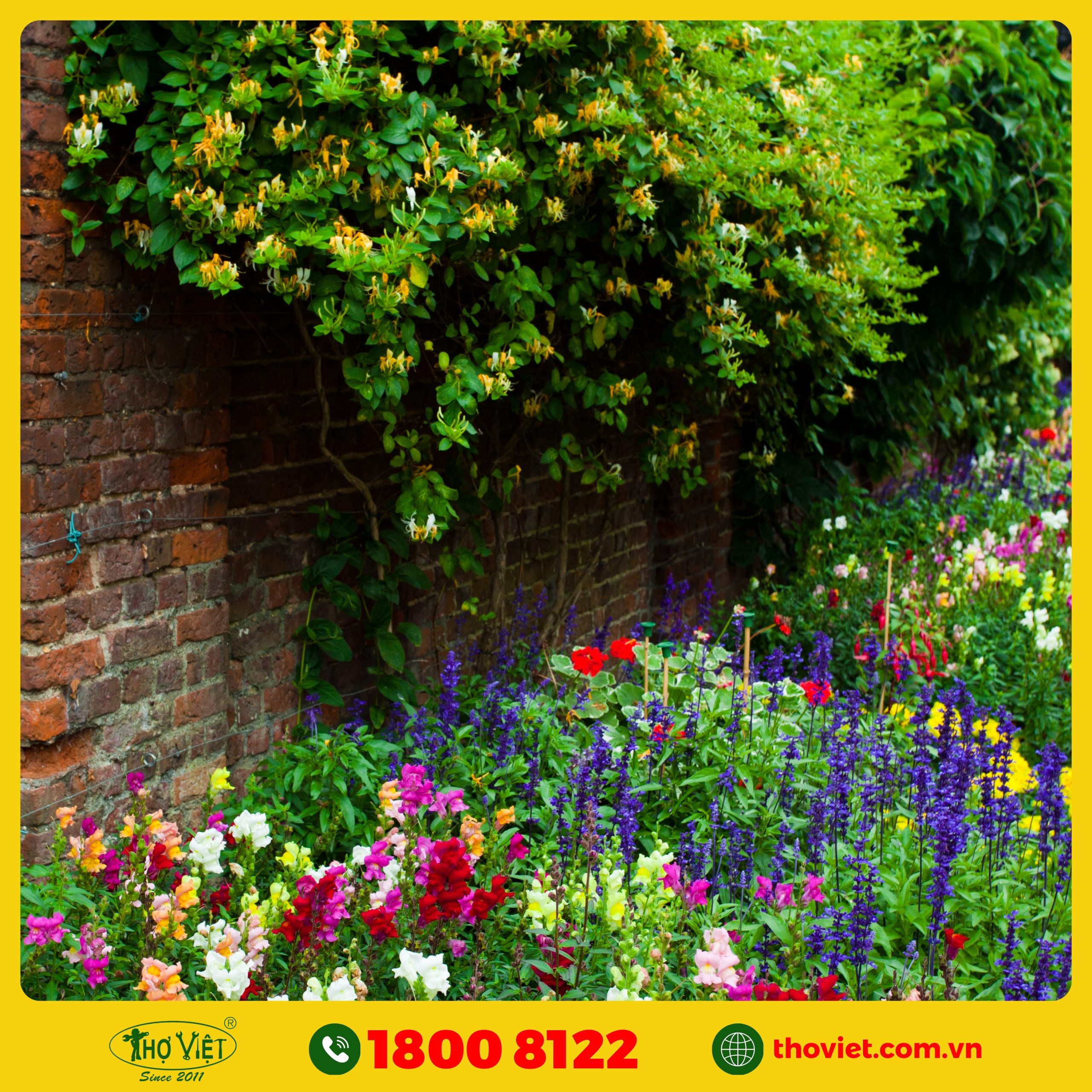 dịch vụ thi công tiểu cảnh sân vườn