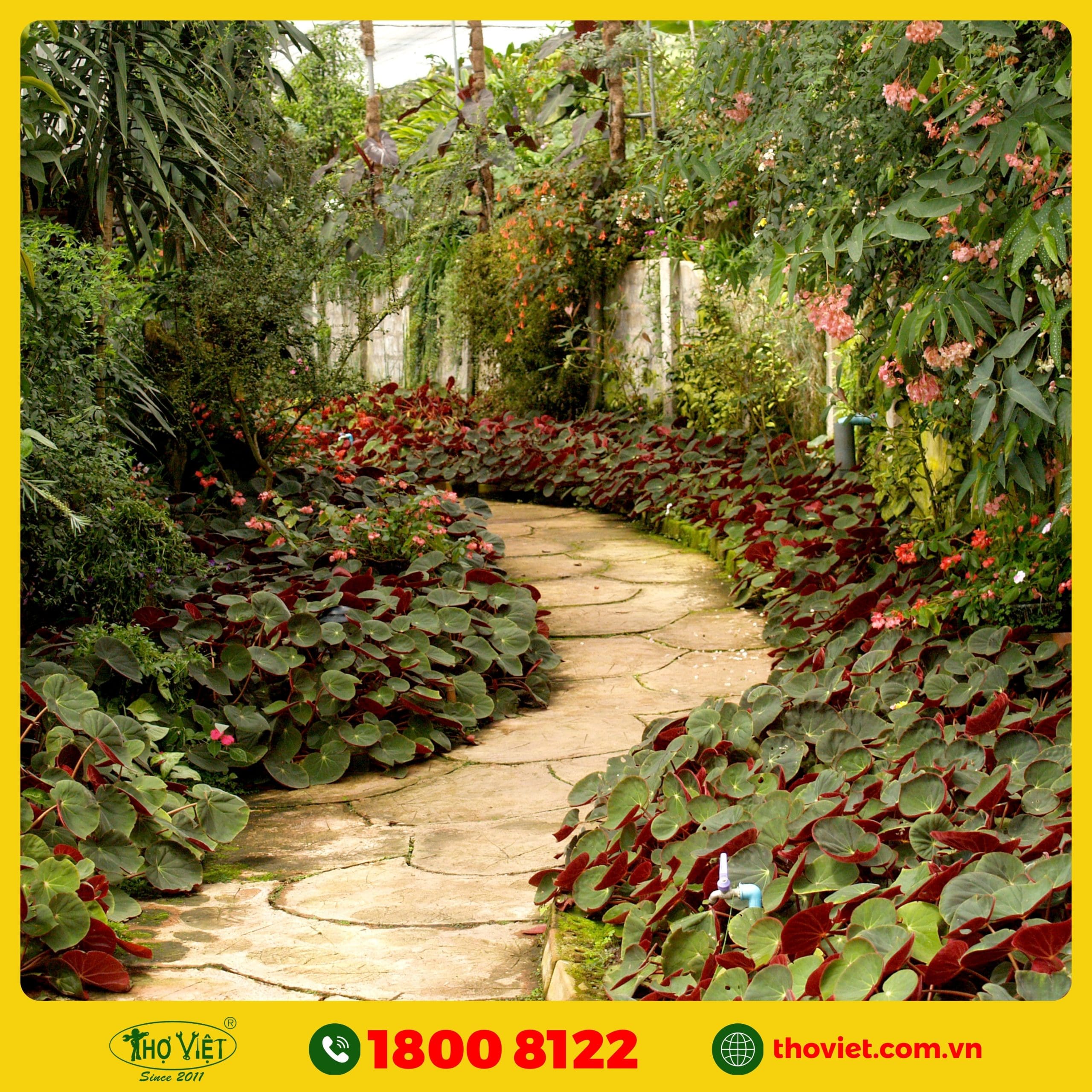 dịch vụ thi công tiểu cảnh sân vườn