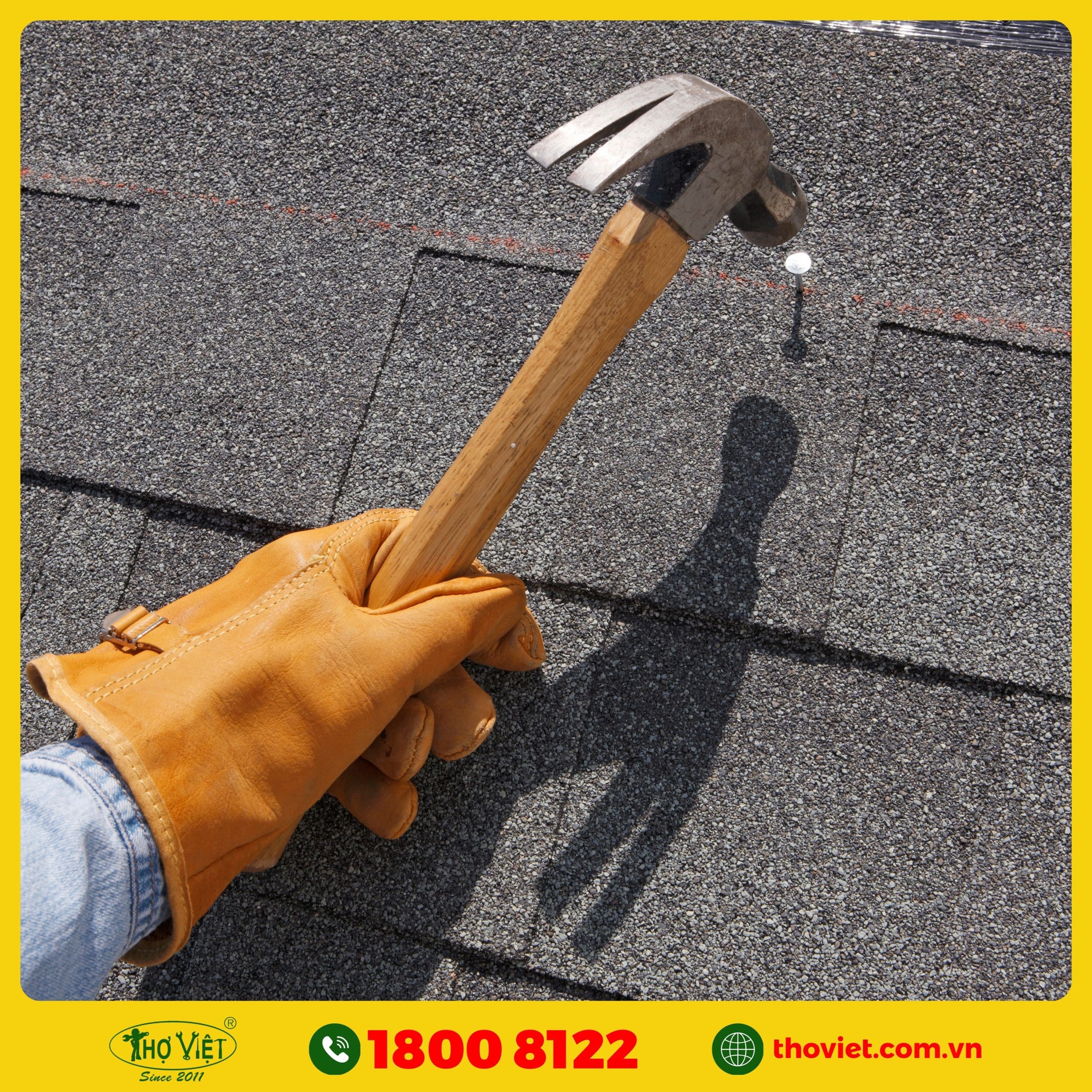 chọn Thợ Việt thay mái tôn