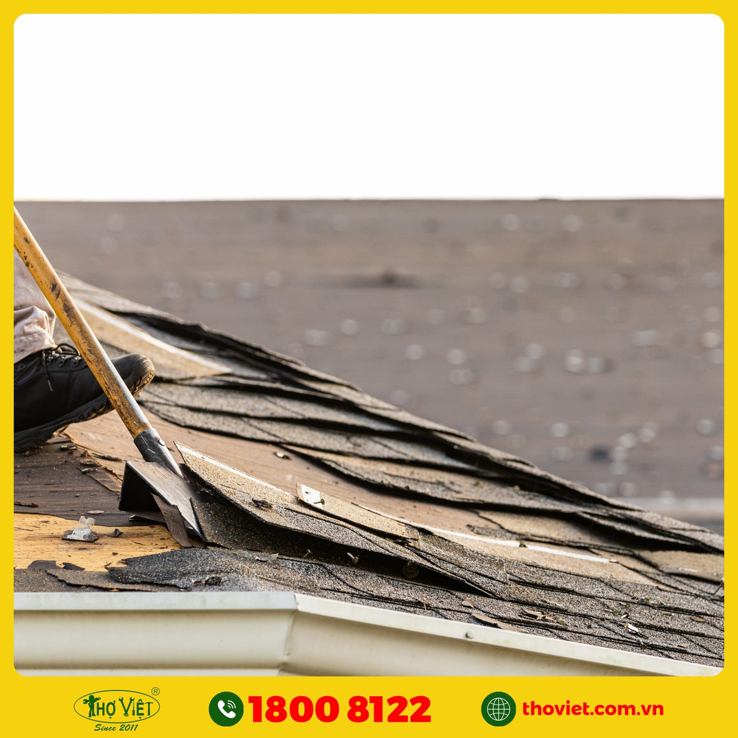 chọn Thợ Việt thay mái tôn