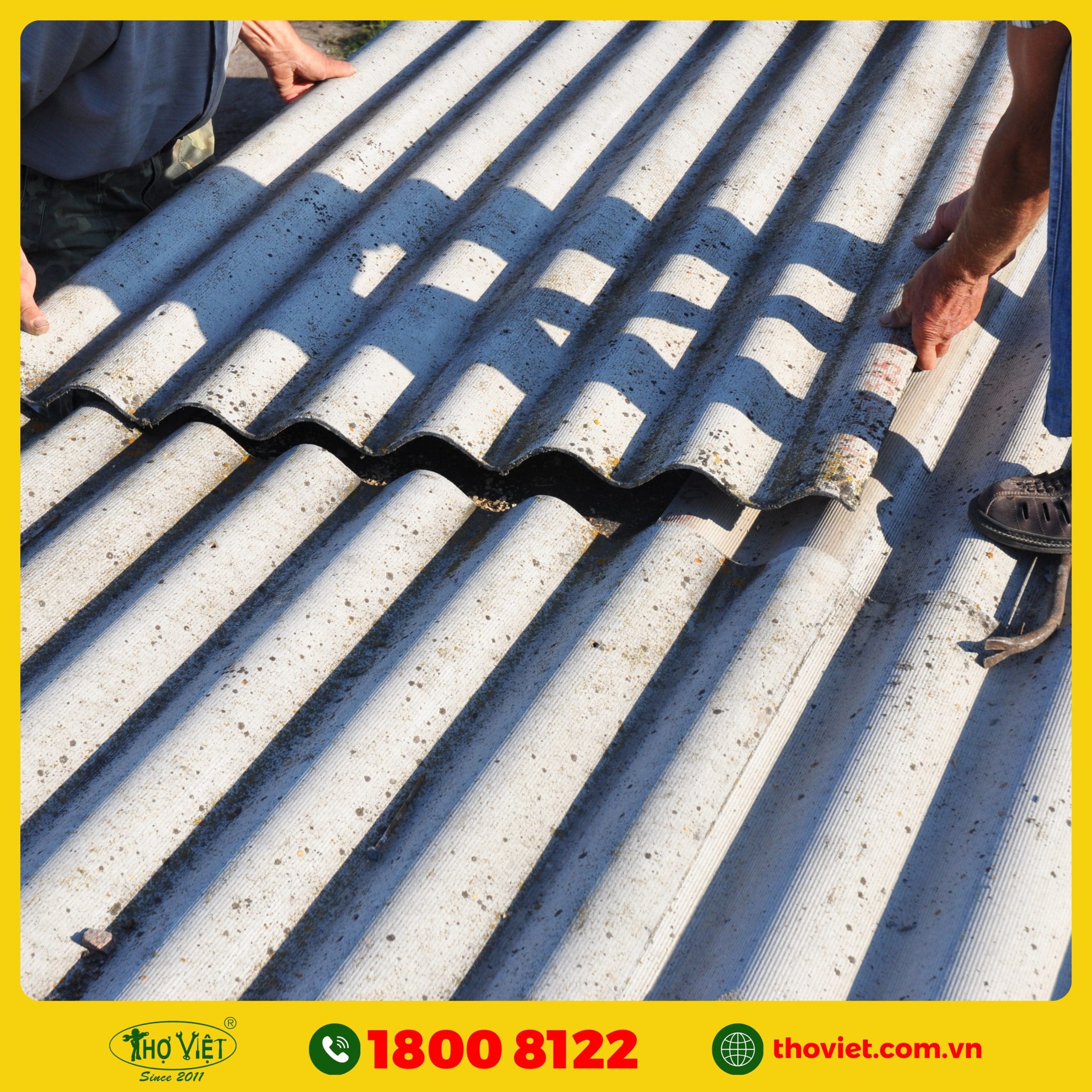 chọn Thợ Việt thay mái tôn