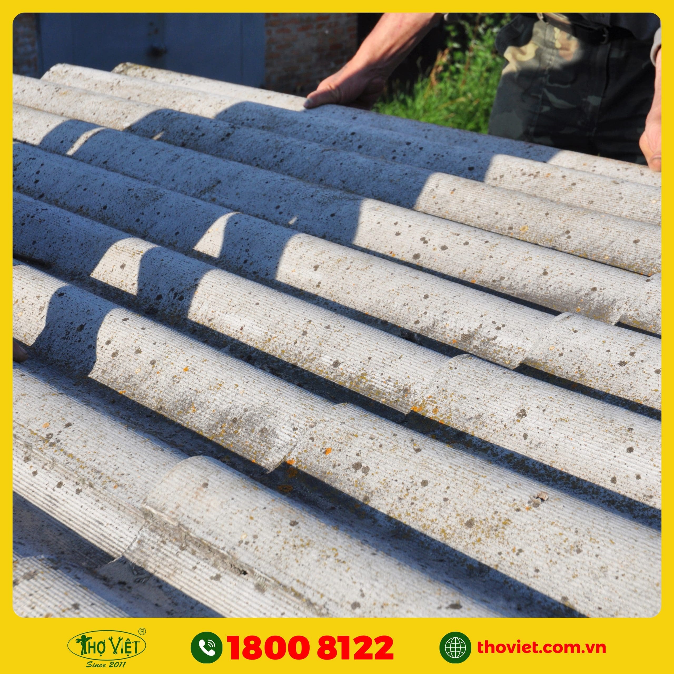 chọn Thợ Việt thay mái tôn