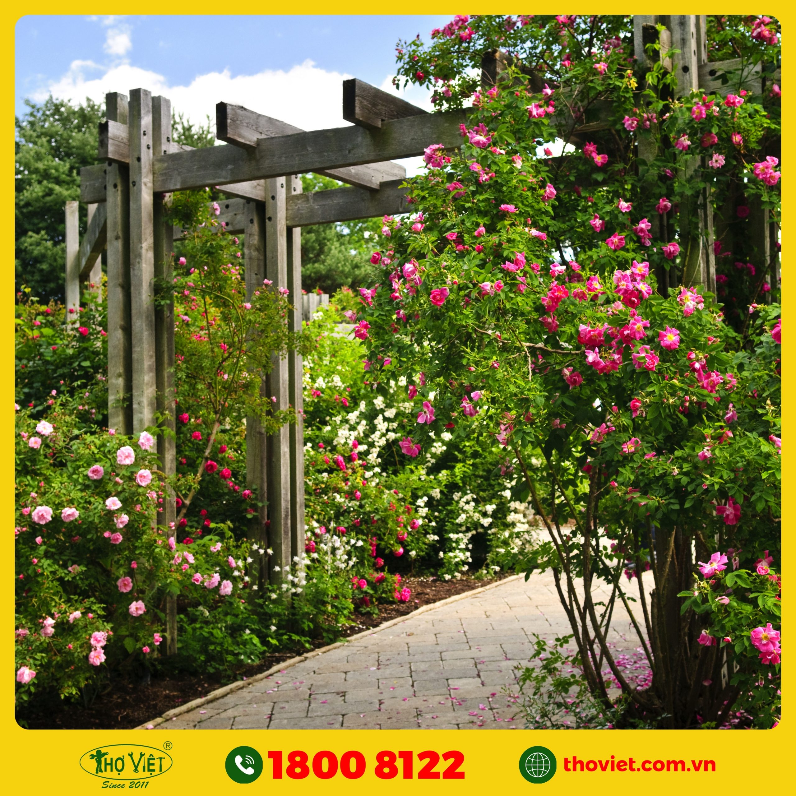 nên chọn Thợ Việt thi công tiểu cảnh sân vườn