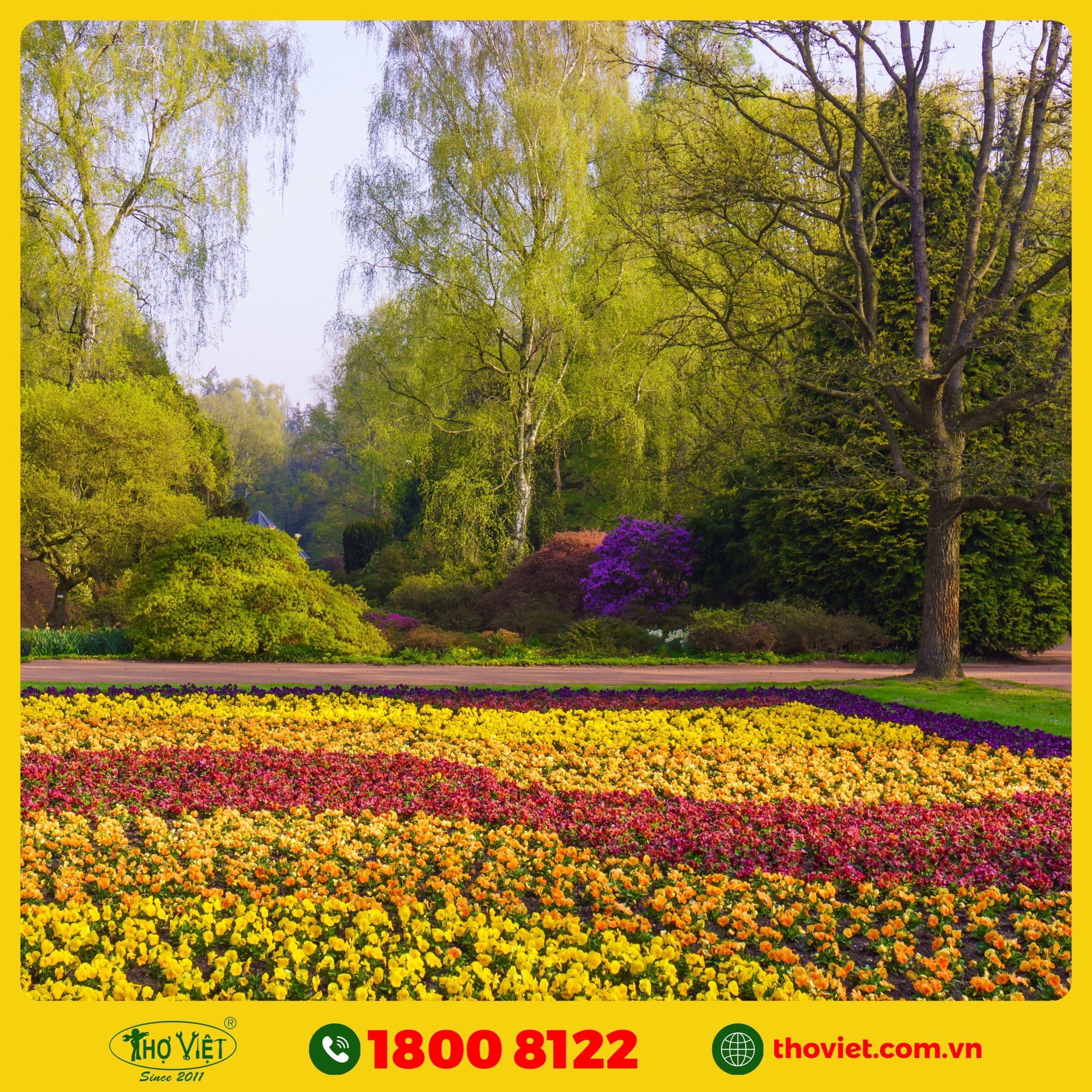 nên chọn Thợ Việt thi công tiểu cảnh sân vườn