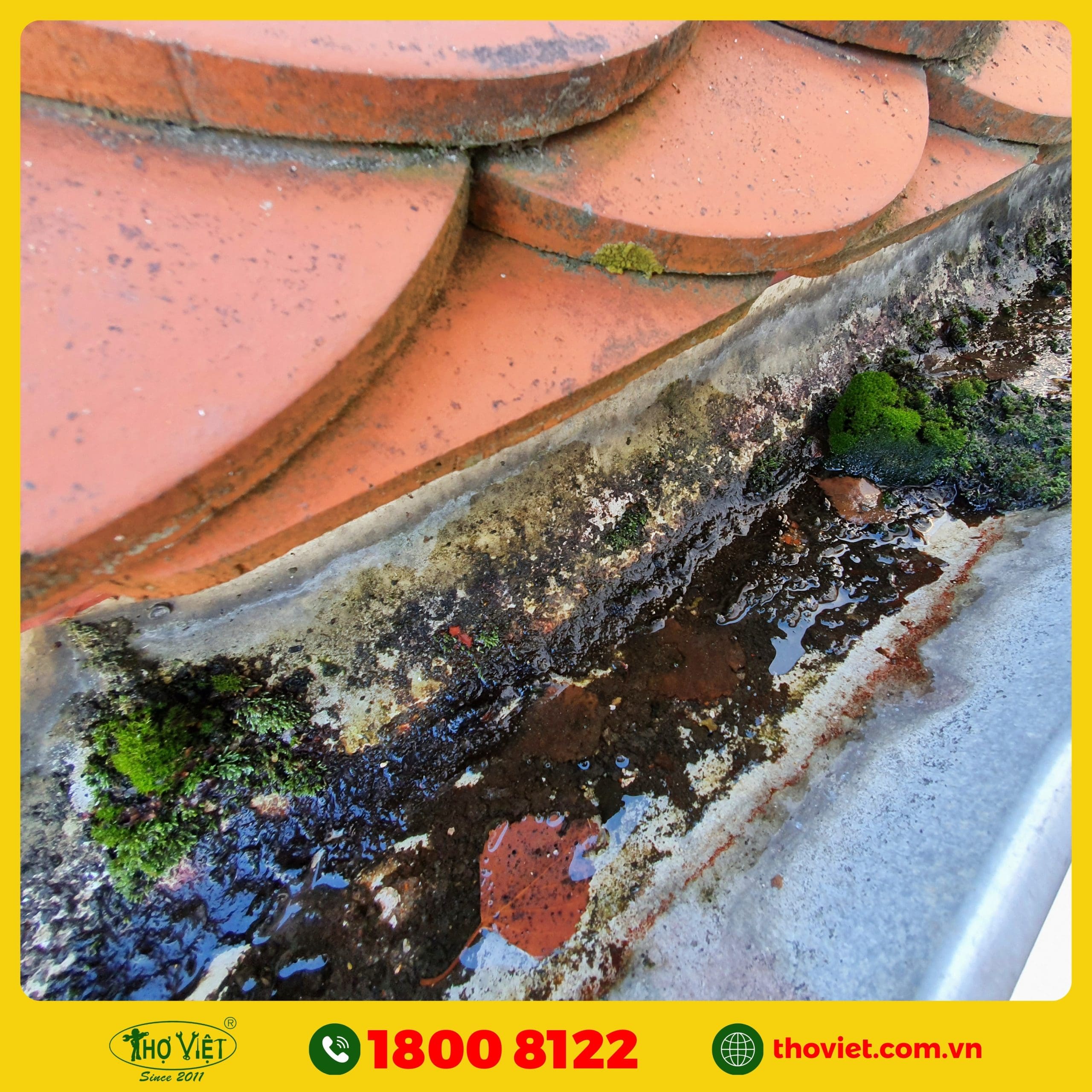 nên chọn Thợ việt thi công máng xối