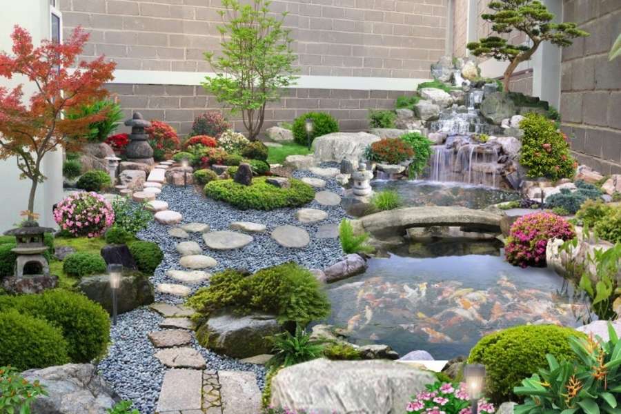 Cải tạo hồ cá Koi