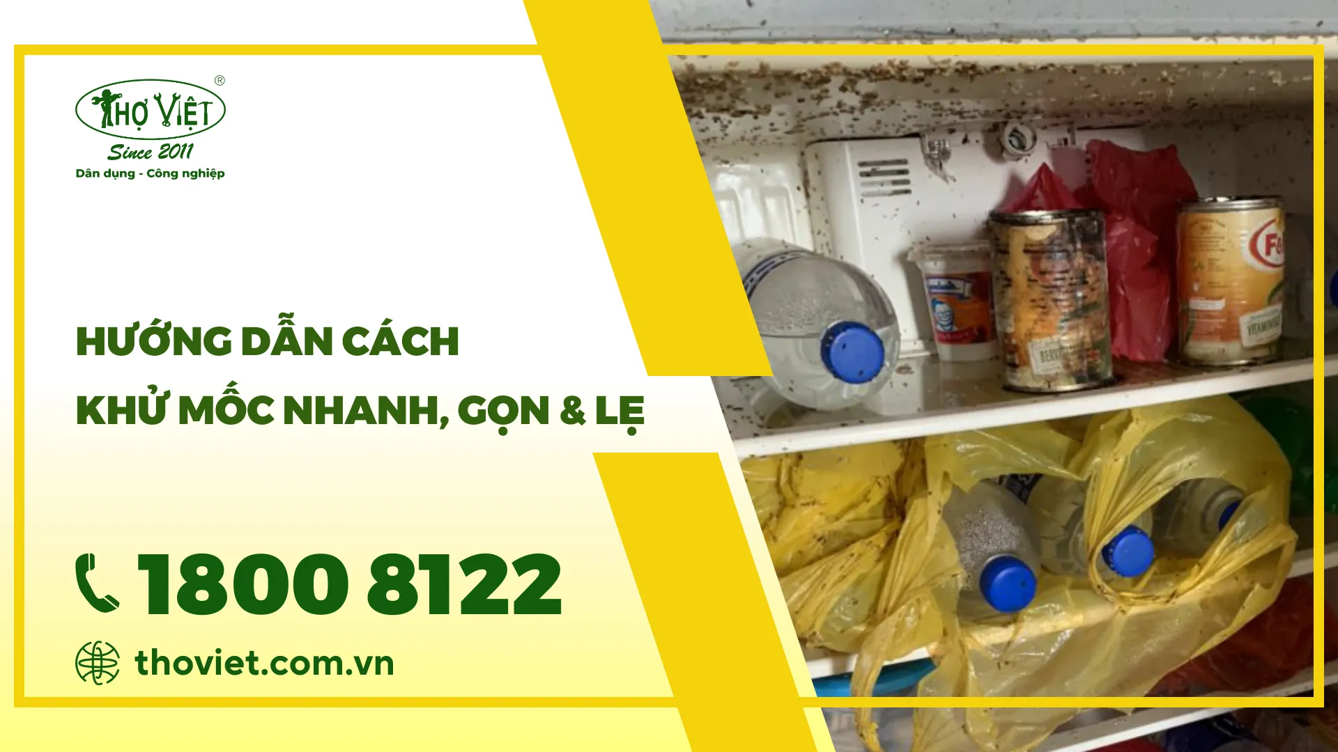 Vì sao, tủ lạnh bị mốc? Hướng dẫn cách khử mốc nhanh, gọn & lẹ