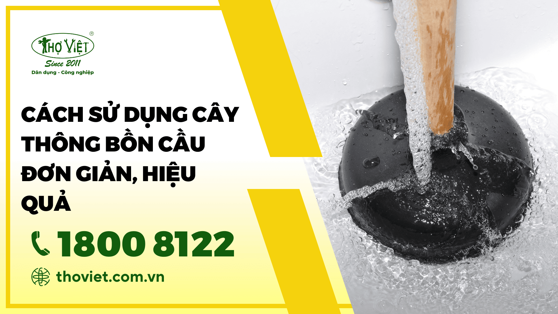 Cách Sử Dụng Cây Thông Bồn Cầu Đơn Giản, Hiệu Quả