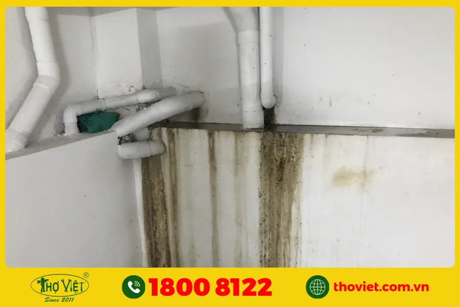 Mối nối bị rò rỉ