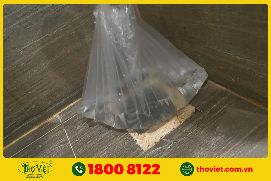 Mẹo khử mùi hôi bằng “nước”