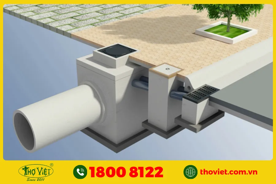 Hầm thoát nước tự nhiên