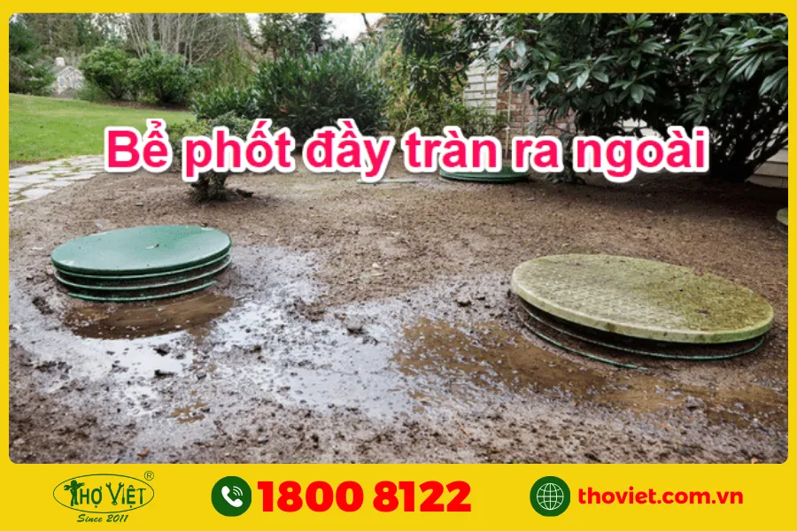 Hầm cầu bị đầy