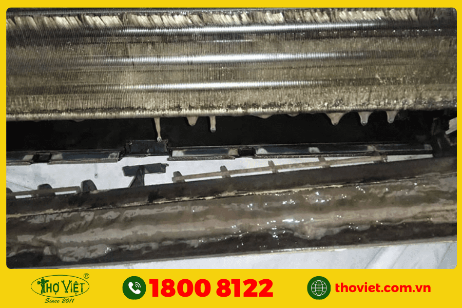 Máy lạnh không được vệ sinh lâu ngày