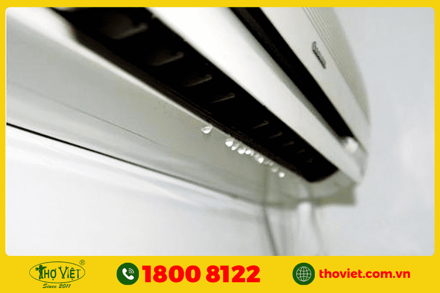 Khay nước bị đầy hoặc lắp không đúng