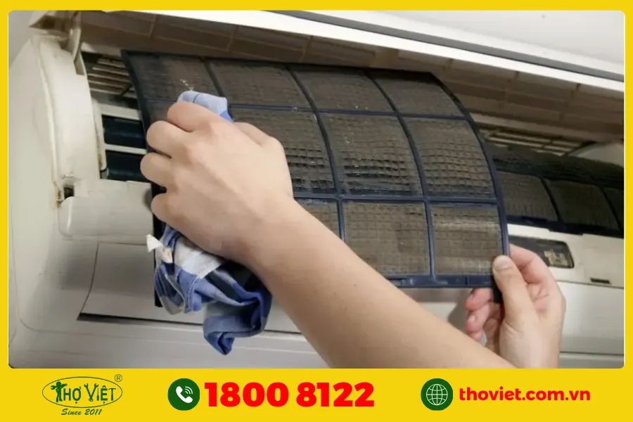 Không vệ sinh định kỳ