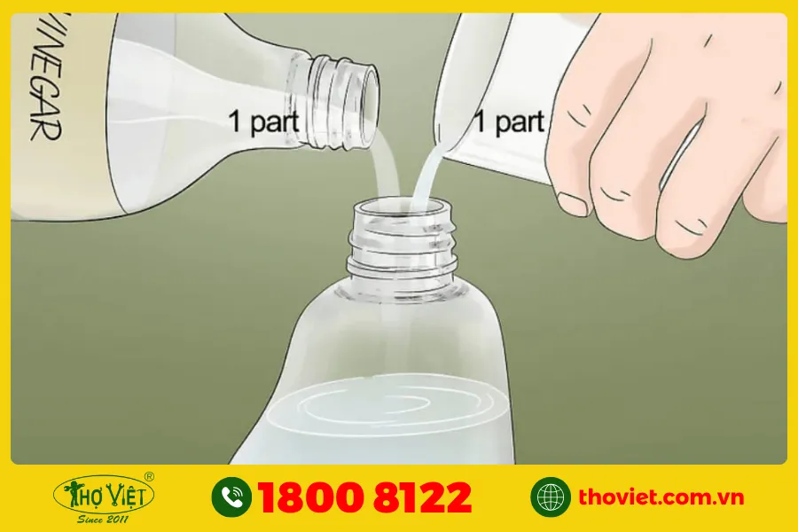 Làm sạch bằng giấm và nước