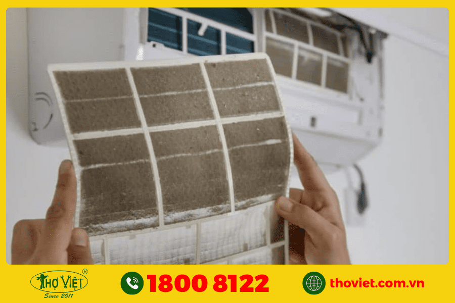 Do bị tắc ẩm, tắc bẩn