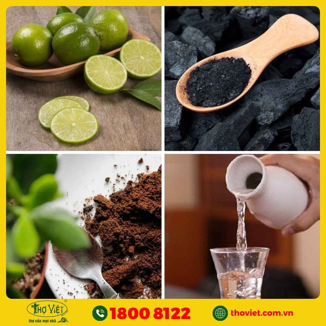 Mẹo khử mùi tủ lạnh hiệu quả bằng nguyên liệu tự nhiên