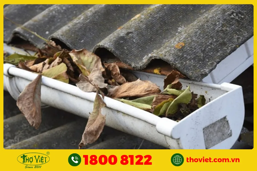 Nguyên nhân máng xối bị hư