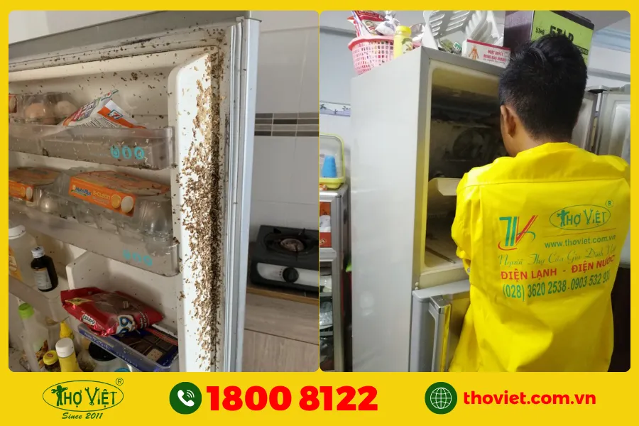 Vệ sinh tủ lạnh tại TP.HCM