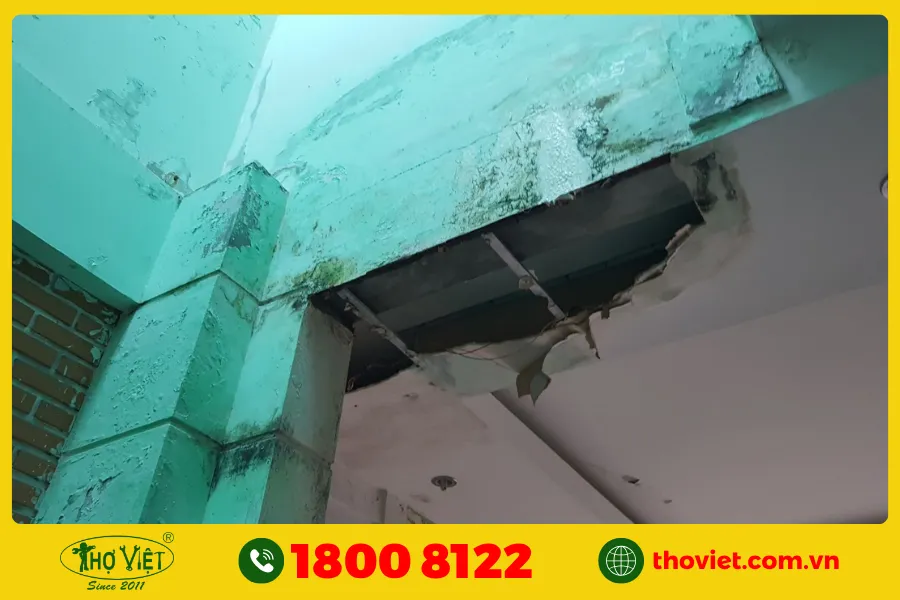 Các bước chống thấm hộp kỹ thuật nhà vệ sinh