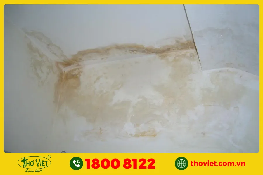 Nguyên nhân nhà vệ sinh tầng 2 bị thấm dột