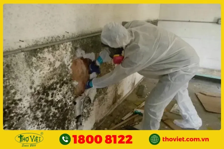Thợ chống thấm ngược