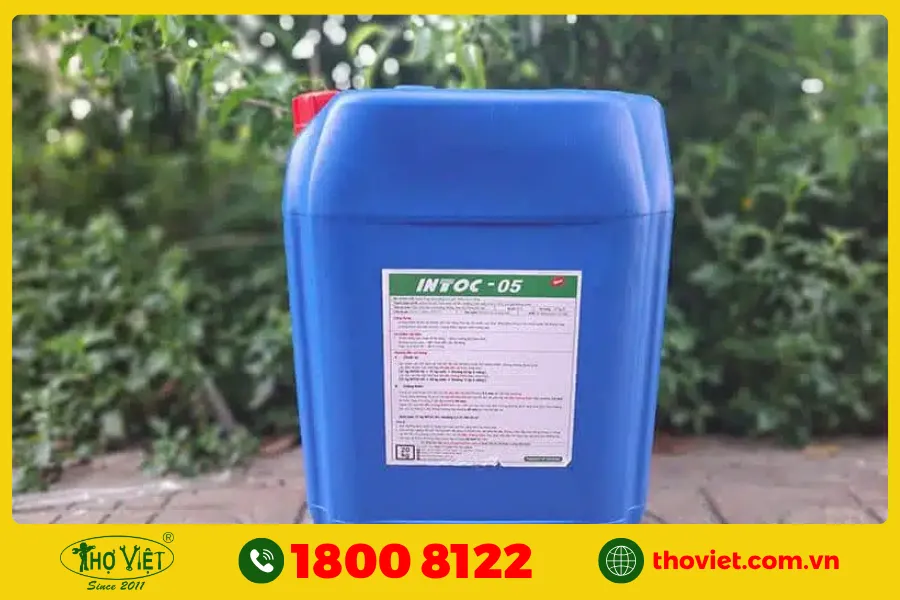 Chống thấm ngược nhà vệ sinh bằng Intoc