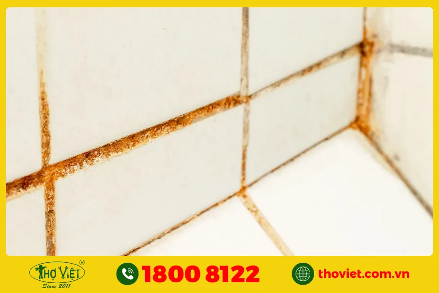 Dấu hiệu nhận biết gọn gạch bị hư hại