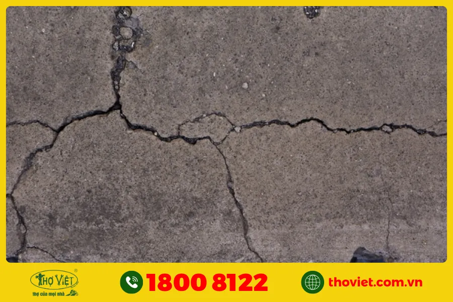 Bể cá bị thấm nước