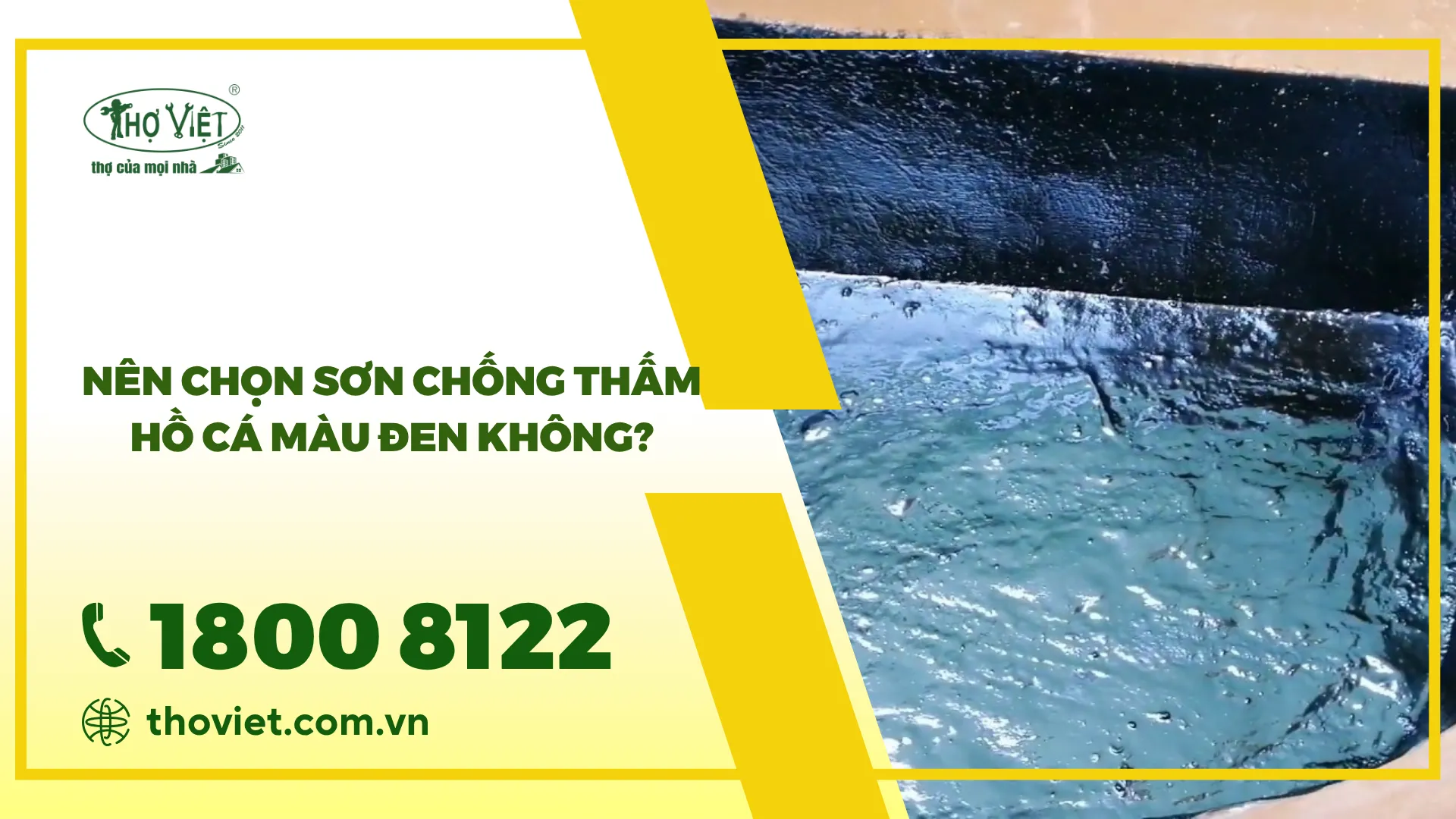 Nên chọn sơn chống thấm hồ cá màu đen không?