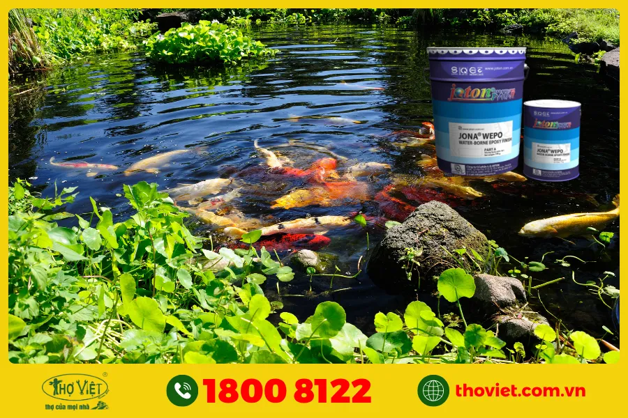 Sơn chống rêu hồ cá Epoxy gốc nước