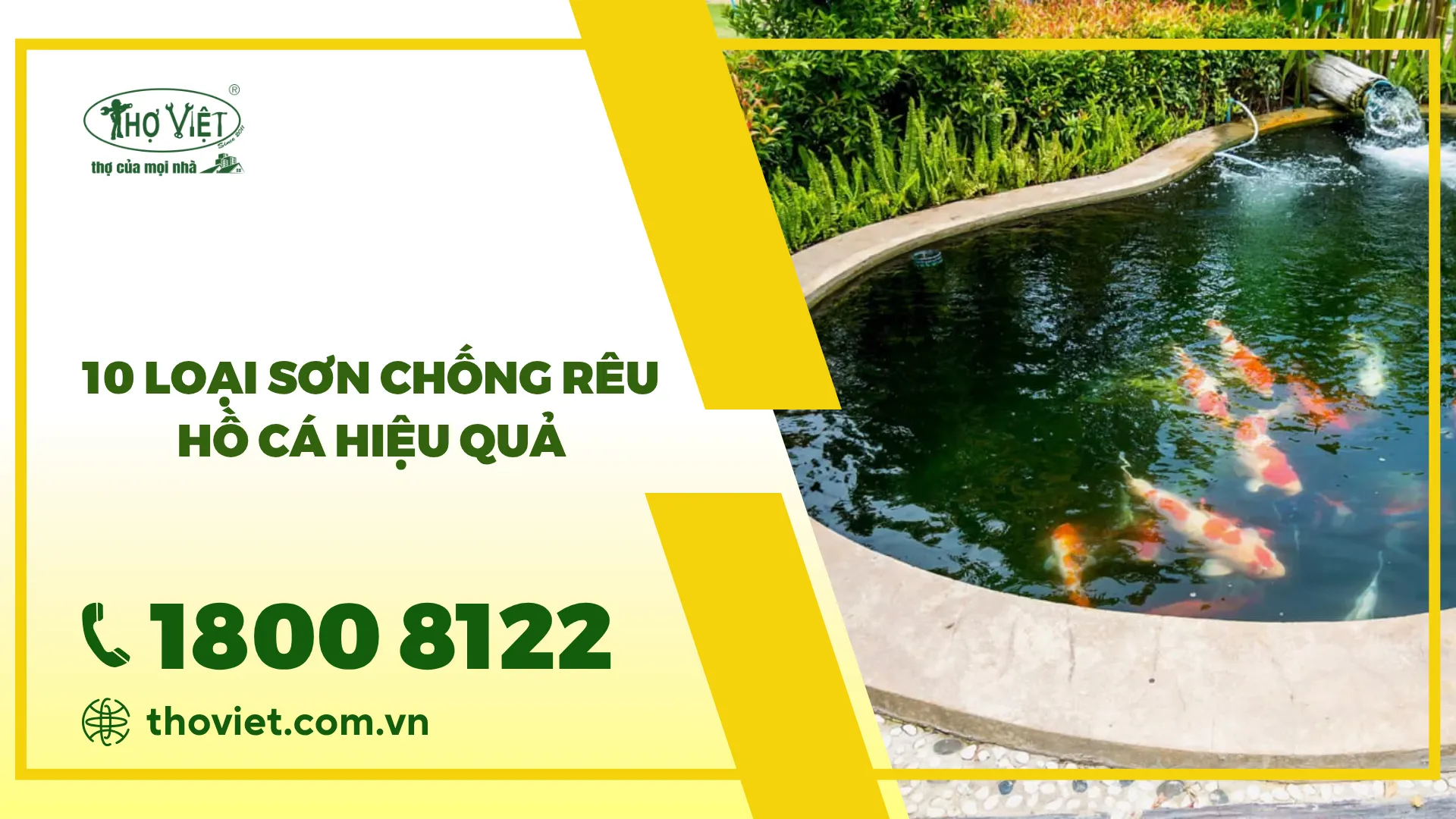 Top 10 loại sơn chống rêu hồ cá hiệu quả nhất hiện nay