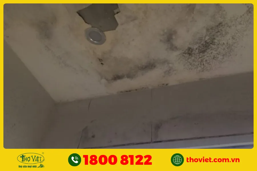 Cách chống thấm trần nhà chung cư
